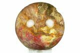 Colorful Petrified Wood (Araucaria) Sphere - Madagascar #286151-1